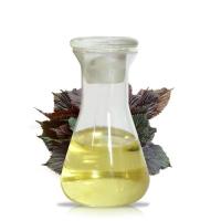 Camphor Oil 