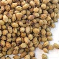 Coriander Seed Oil 
