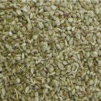 Ajwain Oil / Ajowan Oil 