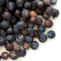 Juniper Berry Oil 